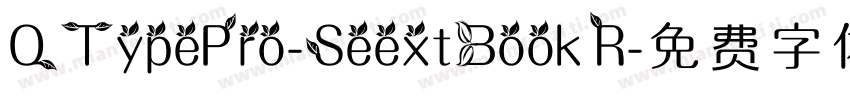 QTypePro-SeextBook R字体转换